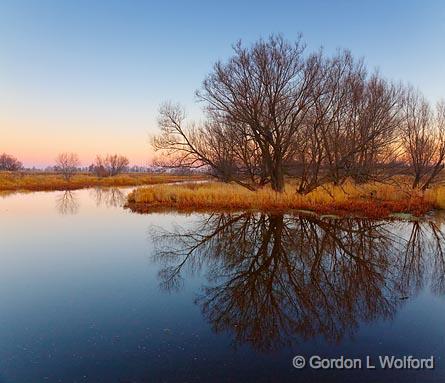 Trees Beside The Jock River_10458-9.jpg - Photographed near Richmond, Ontario, Canada.